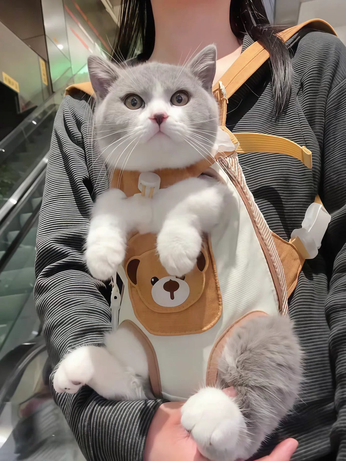 Cat Travel Front Carrier/ Huisdierenrugzak