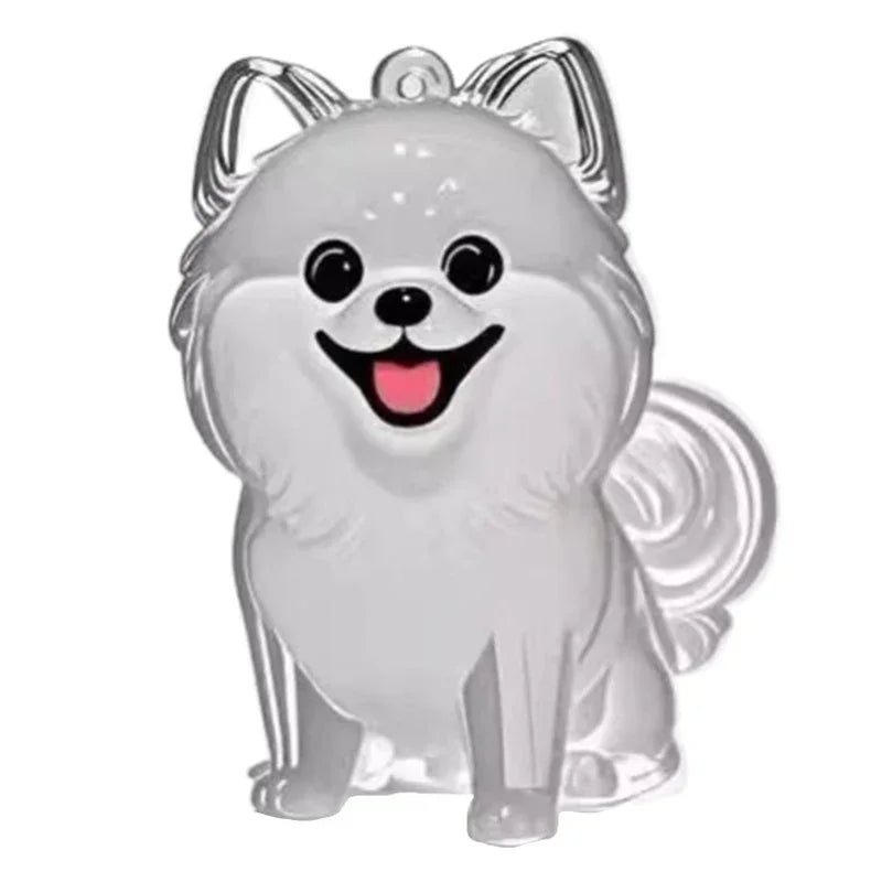 Pet Hair Keychain/ Huisdierhaar Sleutelhanger i