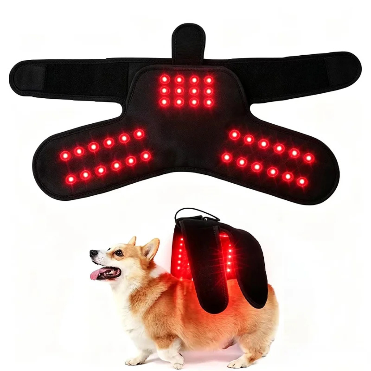 Wearable Red Light Therapy for Pets/Draagbare Roodlichttherapie Wrap voor Huisdieren