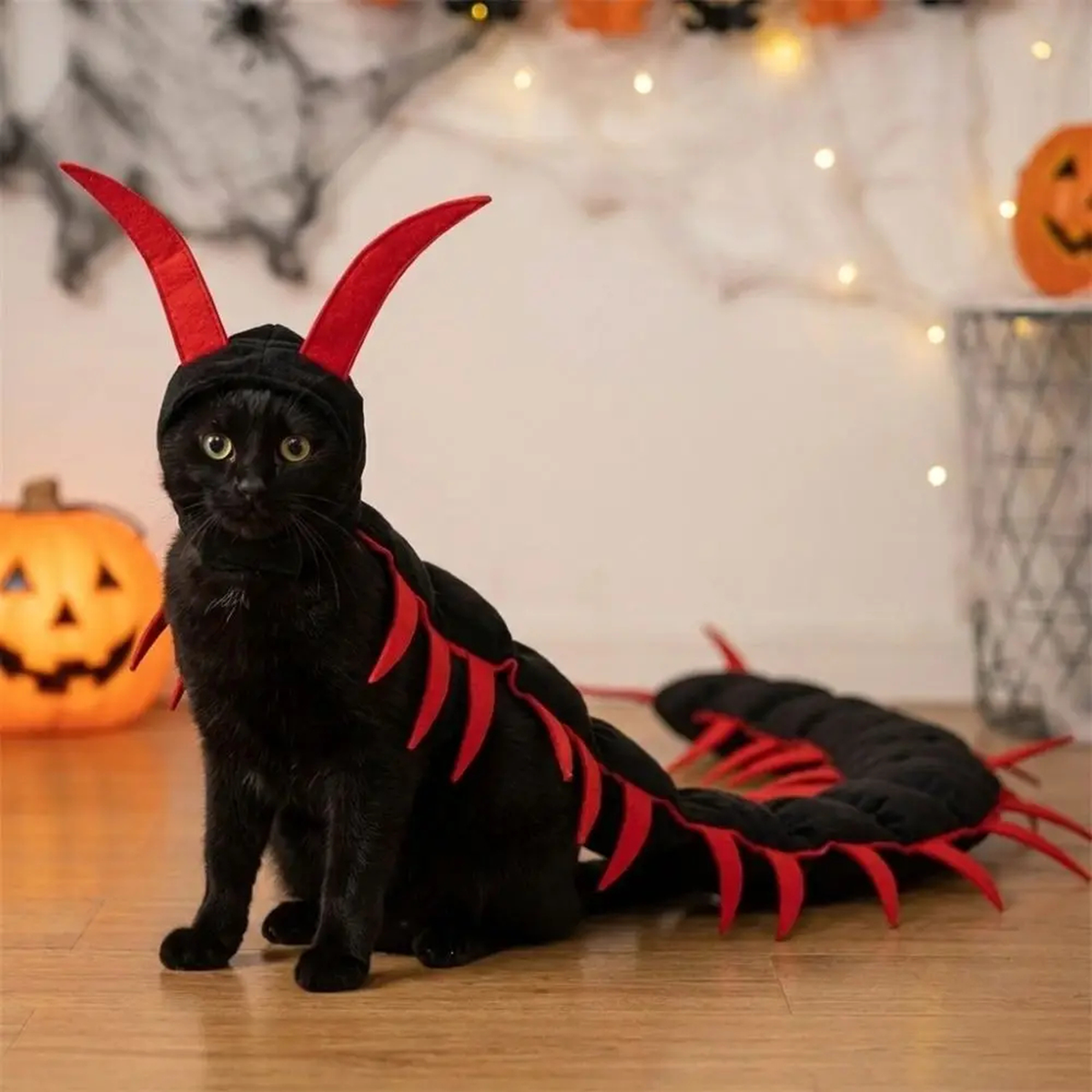 Fluffy Halloween Centipede Cat Costume/ Fluffy Halloween Duizendpoot Kattenkostuum