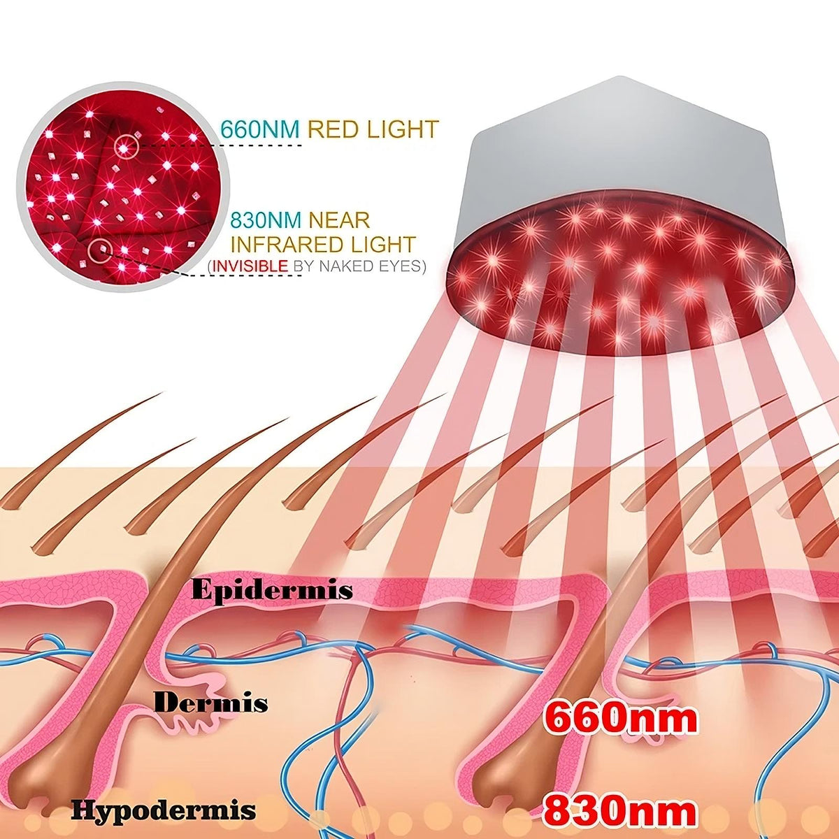 Red Light Therapy Cap/ Roodlichttherapie Cap voor Haar & Hoofdhuid