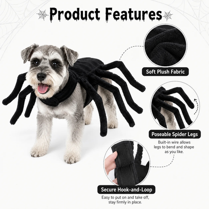 Halloween Spider Pet Costume/ Halloween Spinnenkostuum voor Huisdieren