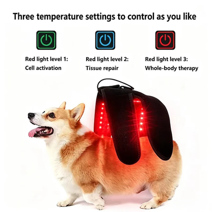 Wearable Red Light Therapy for Pets/Draagbare Roodlichttherapie Wrap voor Huisdieren