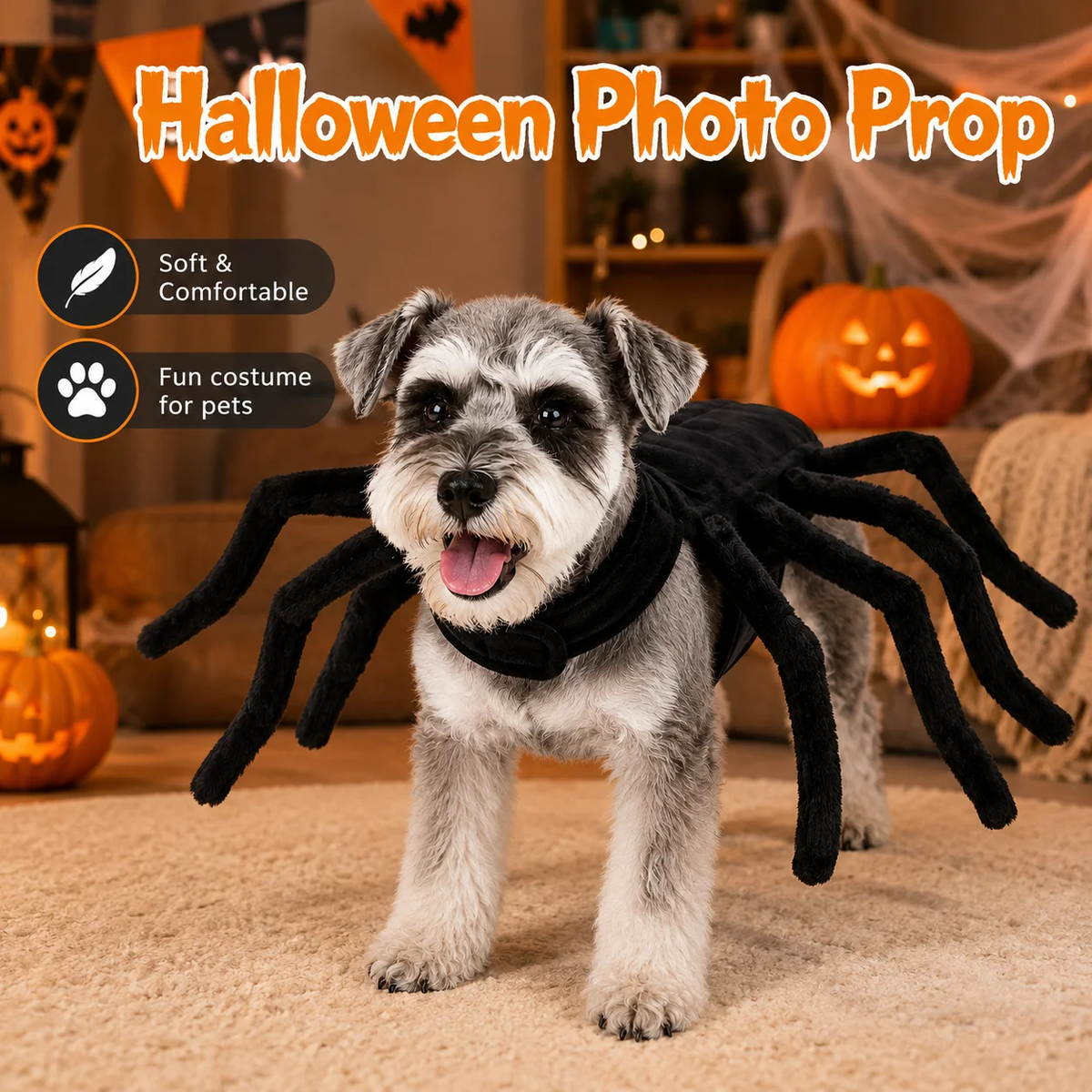 Halloween Spider Pet Costume/ Halloween Spinnenkostuum voor Huisdieren