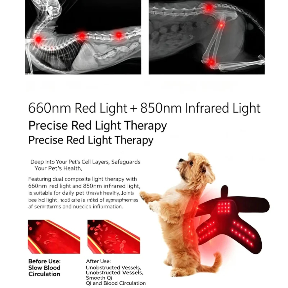 Wearable Red Light Therapy for Pets/Draagbare Roodlichttherapie Wrap voor Huisdieren