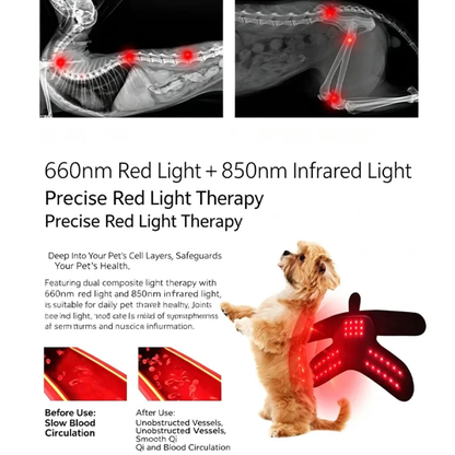 Wearable Red Light Therapy for Pets/Draagbare Roodlichttherapie Wrap voor Huisdieren