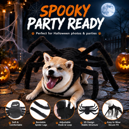 Halloween Spider Pet Costume/ Halloween Spinnenkostuum voor Huisdieren